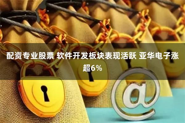 配资专业股票 软件开发板块表现活跃 亚华电子涨超6%