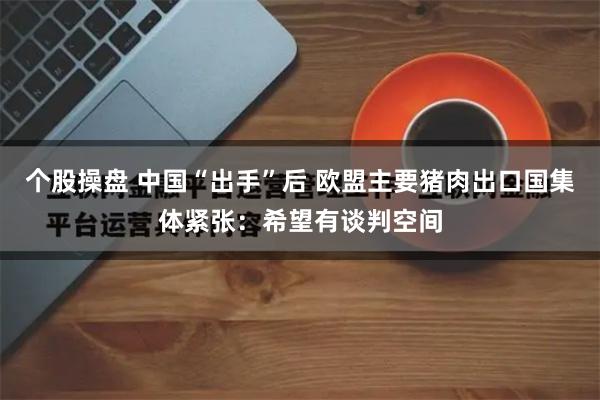 个股操盘 中国“出手”后 欧盟主要猪肉出口国集体紧张：希望有谈判空间