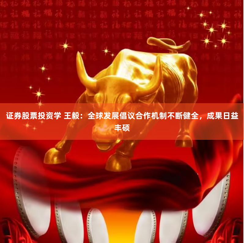 证券股票投资学 王毅：全球发展倡议合作机制不断健全，成果日益